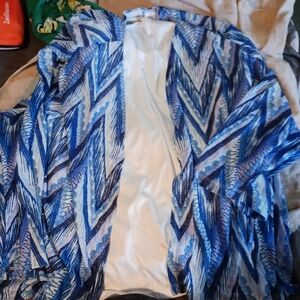 Dressy Blouse/Camisole